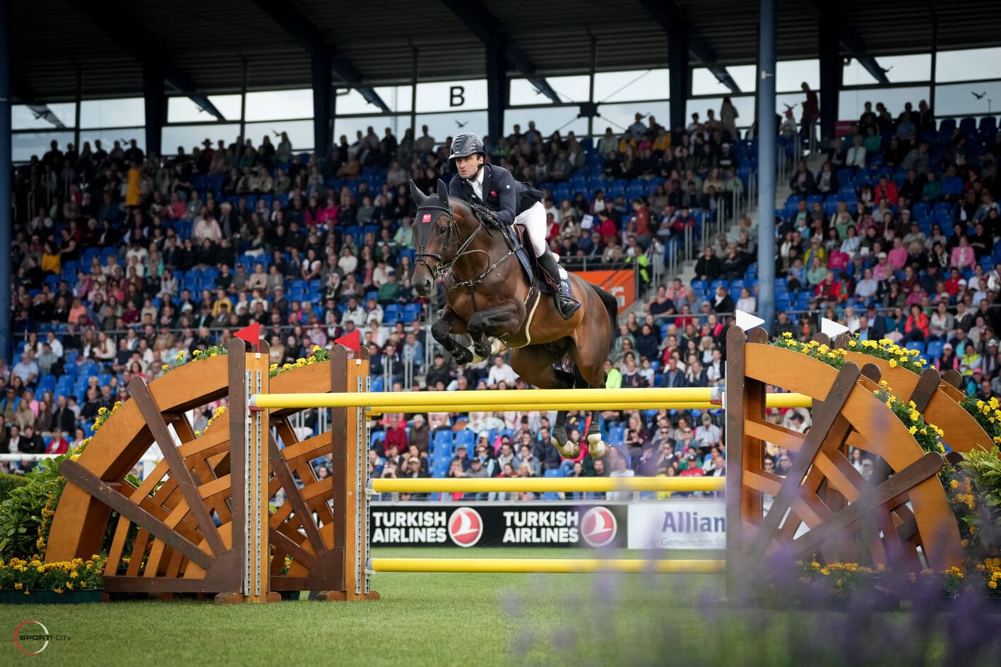 écurie perreau chevaux_olivier